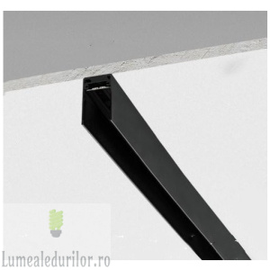 SINA MAGNETICA APLICATA 2M